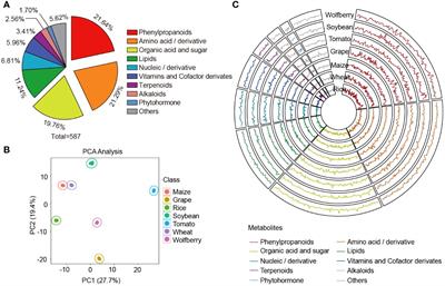 Comparative metabolomics combined with genome sequencing provides insights into novel wolfberry-specific metabolites and their formation mechanisms